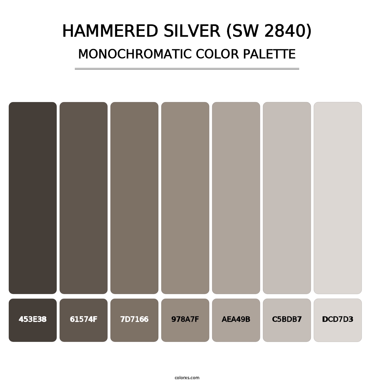Hammered Silver (SW 2840) - Monochromatic Color Palette