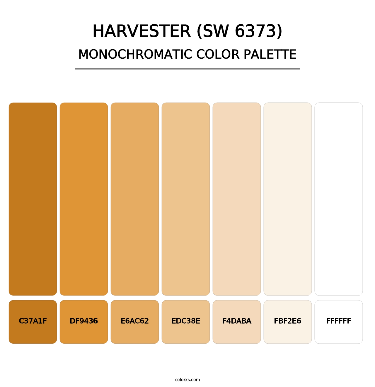 Harvester (SW 6373) - Monochromatic Color Palette