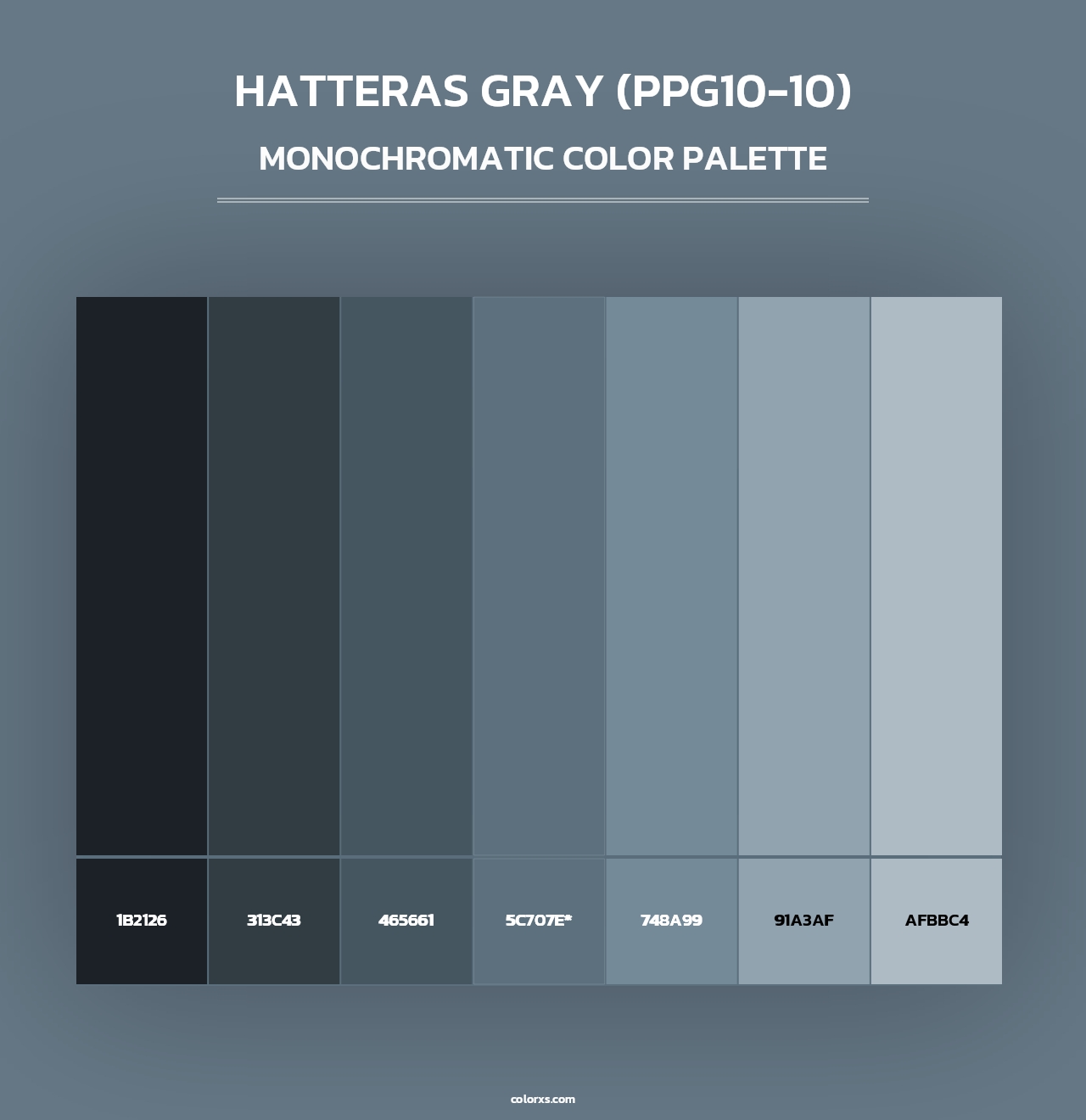 Hatteras Gray (PPG10-10) - Monochromatic Color Palette