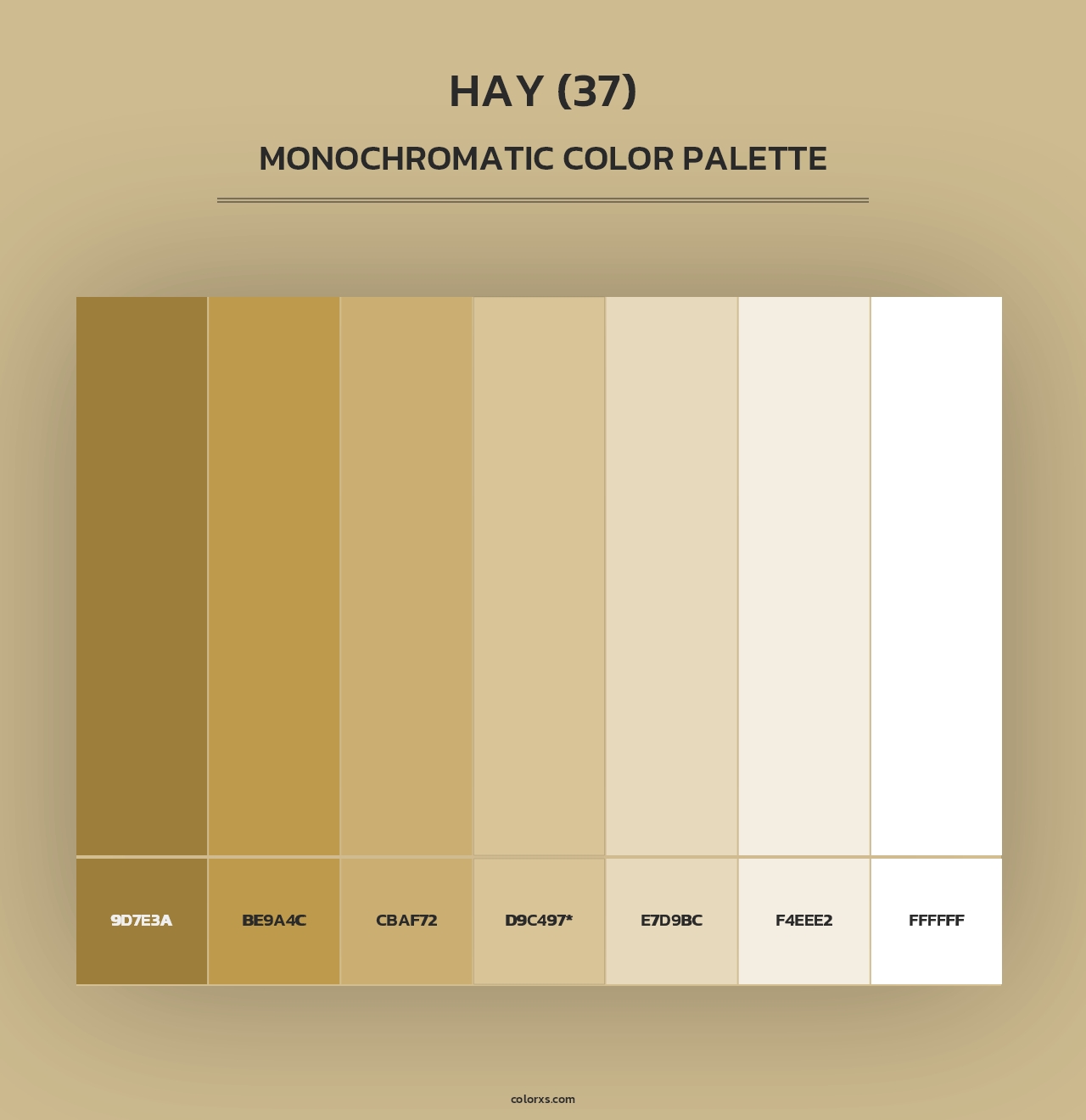 Hay (37) - Monochromatic Color Palette