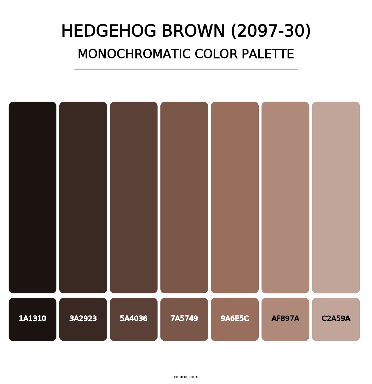Hedgehog Brown (2097-30) - Monochromatic Color Palette