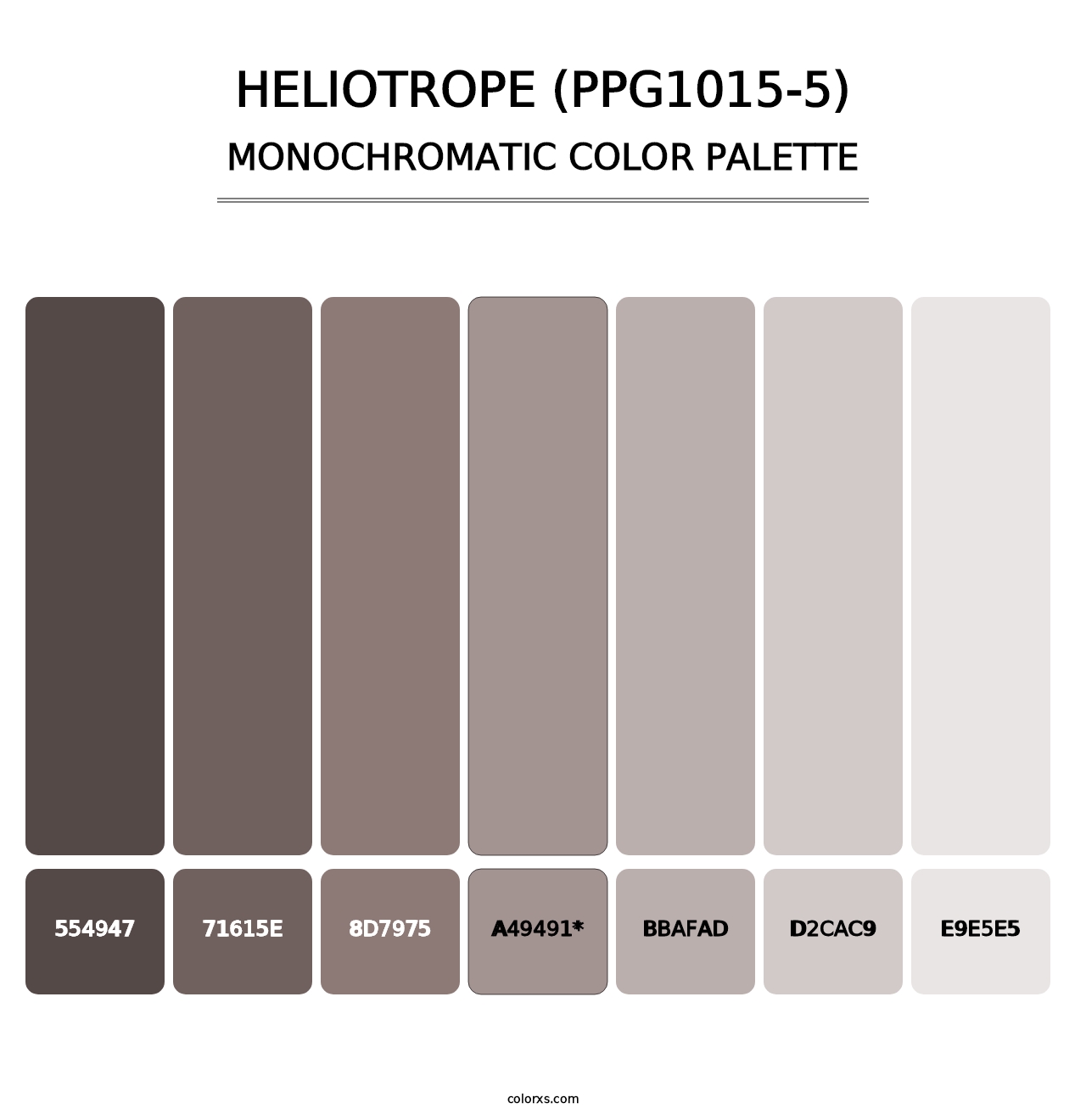 Heliotrope (PPG1015-5) - Monochromatic Color Palette
