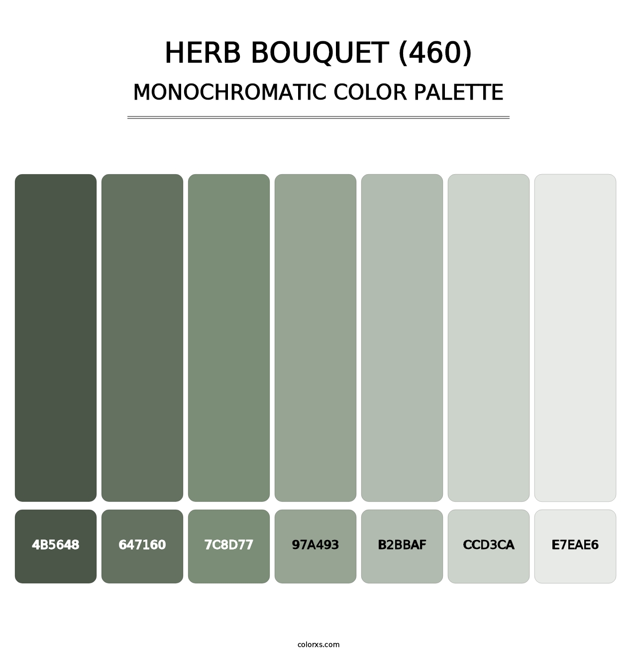 Herb Bouquet (460) - Monochromatic Color Palette