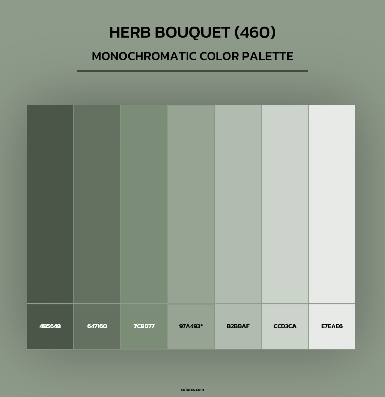 Herb Bouquet (460) - Monochromatic Color Palette