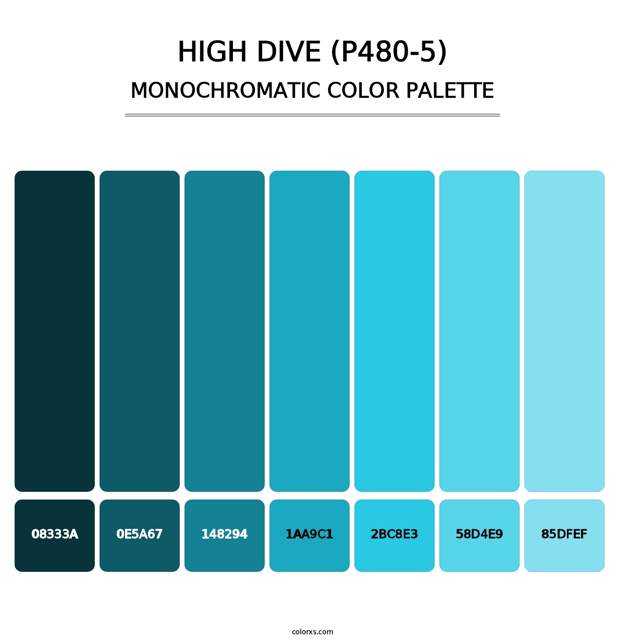High Dive (P480-5) - Monochromatic Color Palette