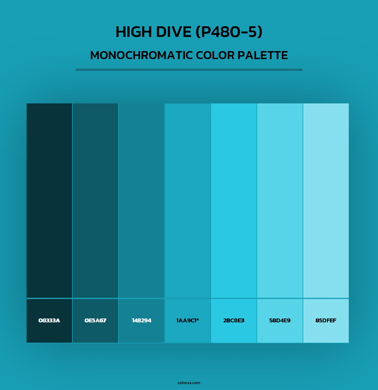High Dive (P480-5) - Monochromatic Color Palette