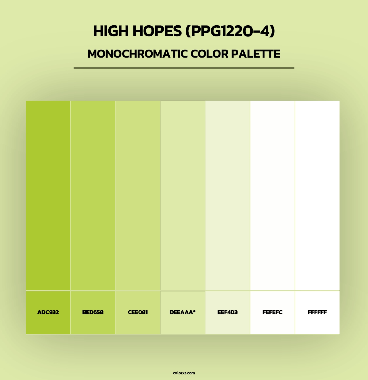 High Hopes (PPG1220-4) - Monochromatic Color Palette