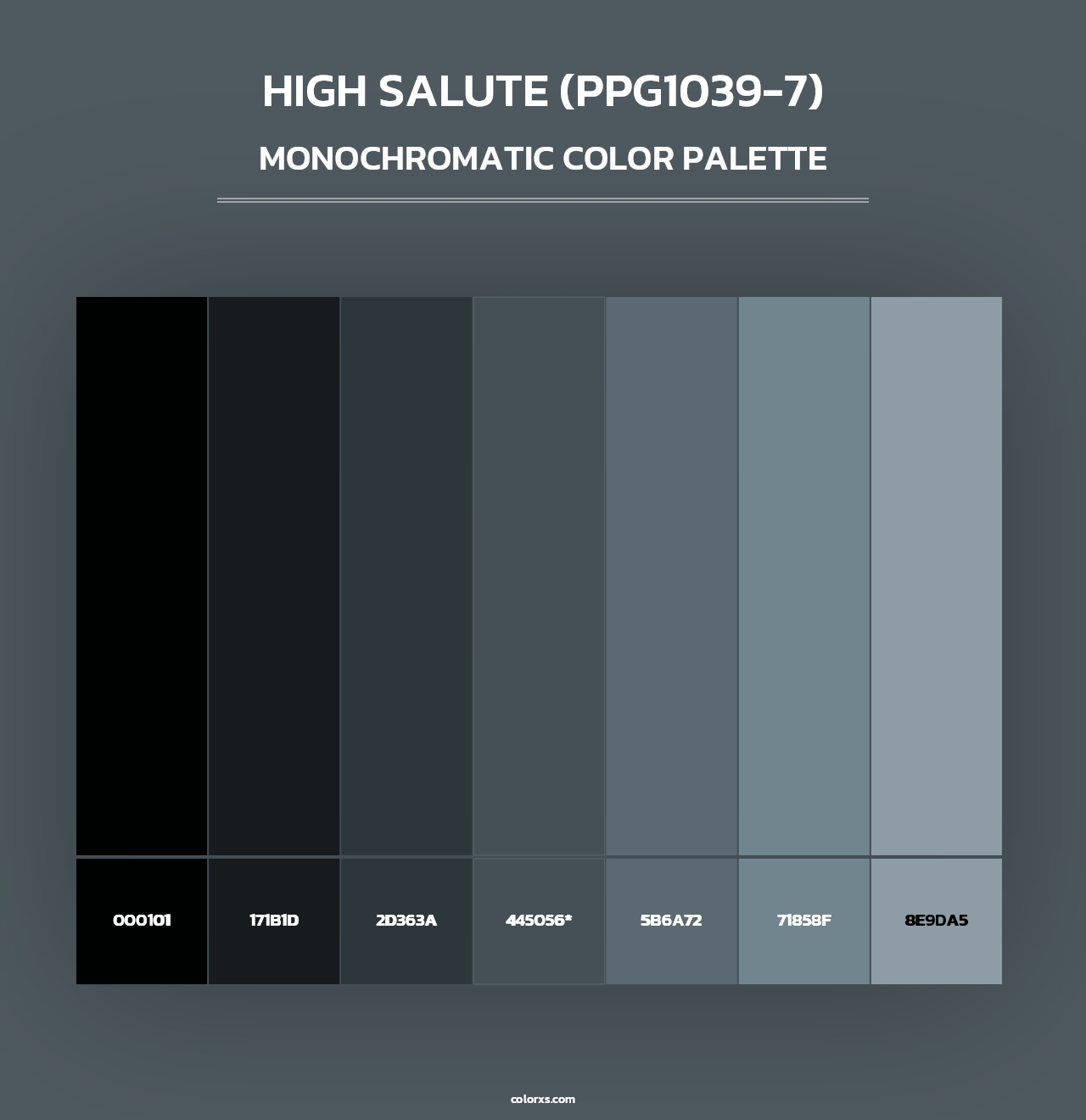 High Salute (PPG1039-7) - Monochromatic Color Palette
