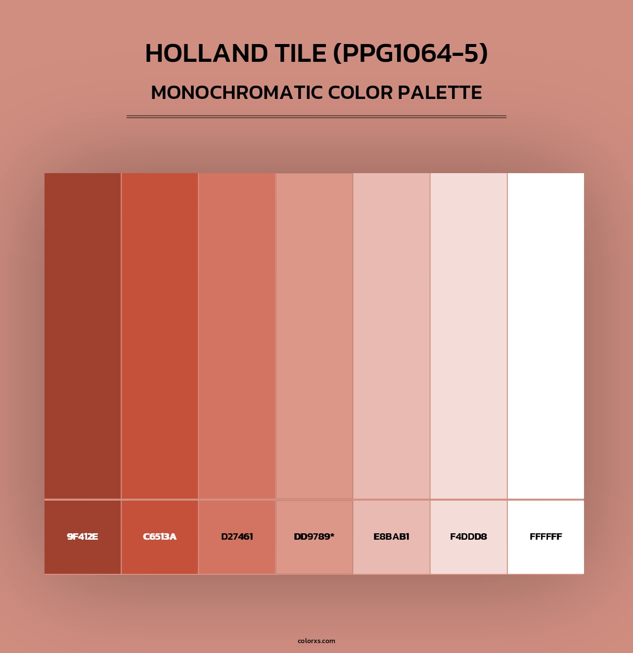 Holland Tile (PPG1064-5) - Monochromatic Color Palette