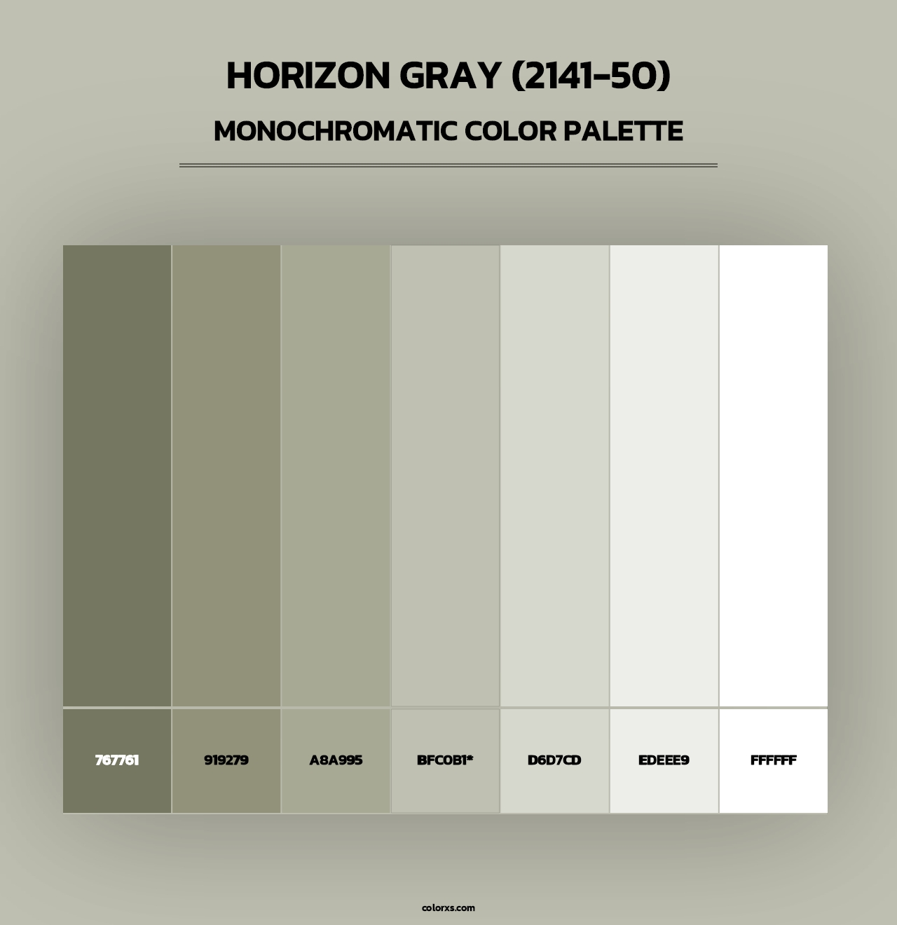 Horizon Gray (2141-50) - Monochromatic Color Palette