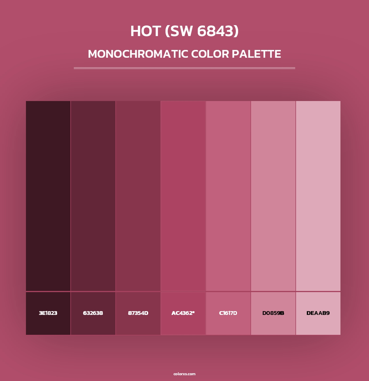 Hot (SW 6843) - Monochromatic Color Palette