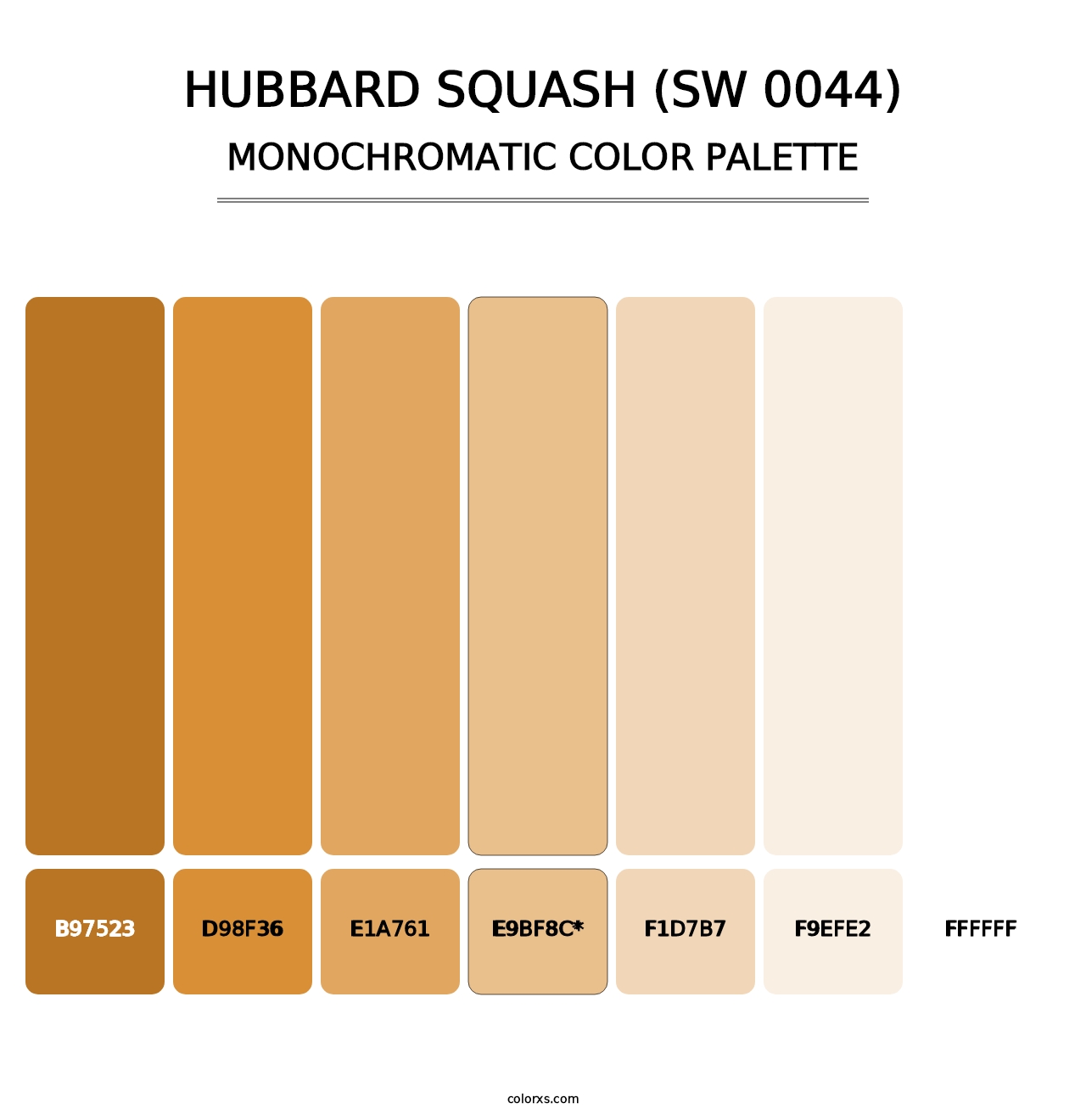 Hubbard Squash (SW 0044) - Monochromatic Color Palette