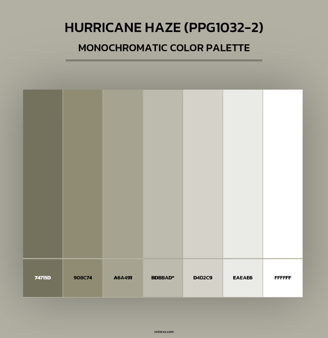 Hurricane Haze (PPG1032-2) - Monochromatic Color Palette