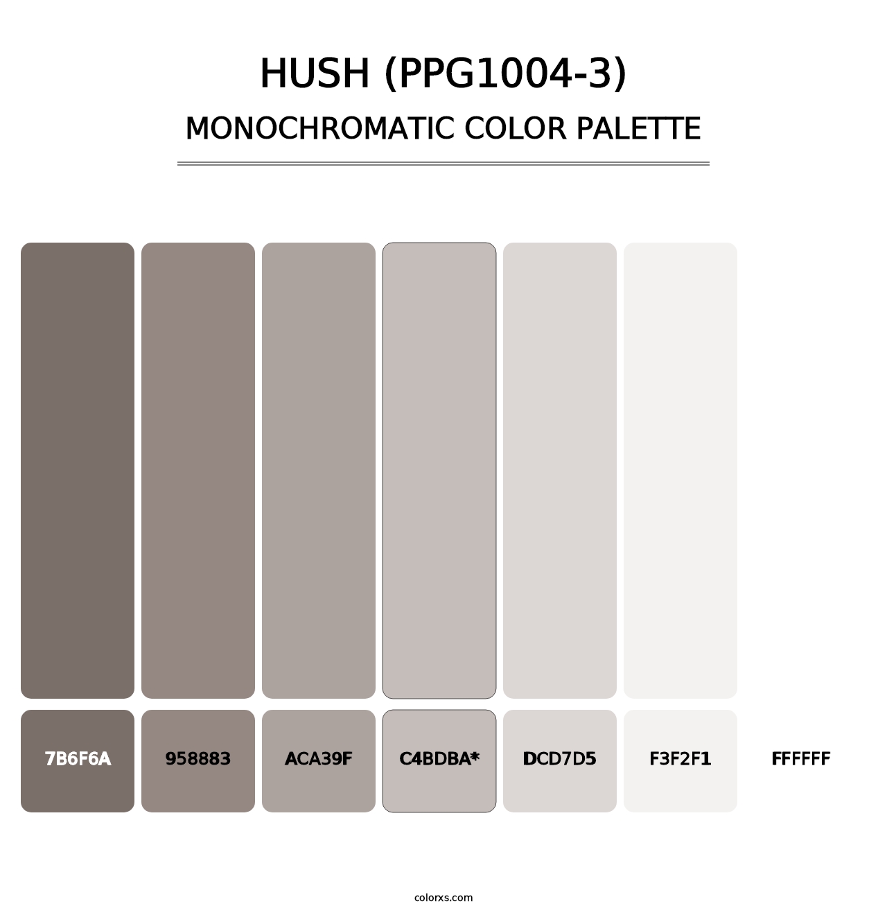 Hush (PPG1004-3) - Monochromatic Color Palette