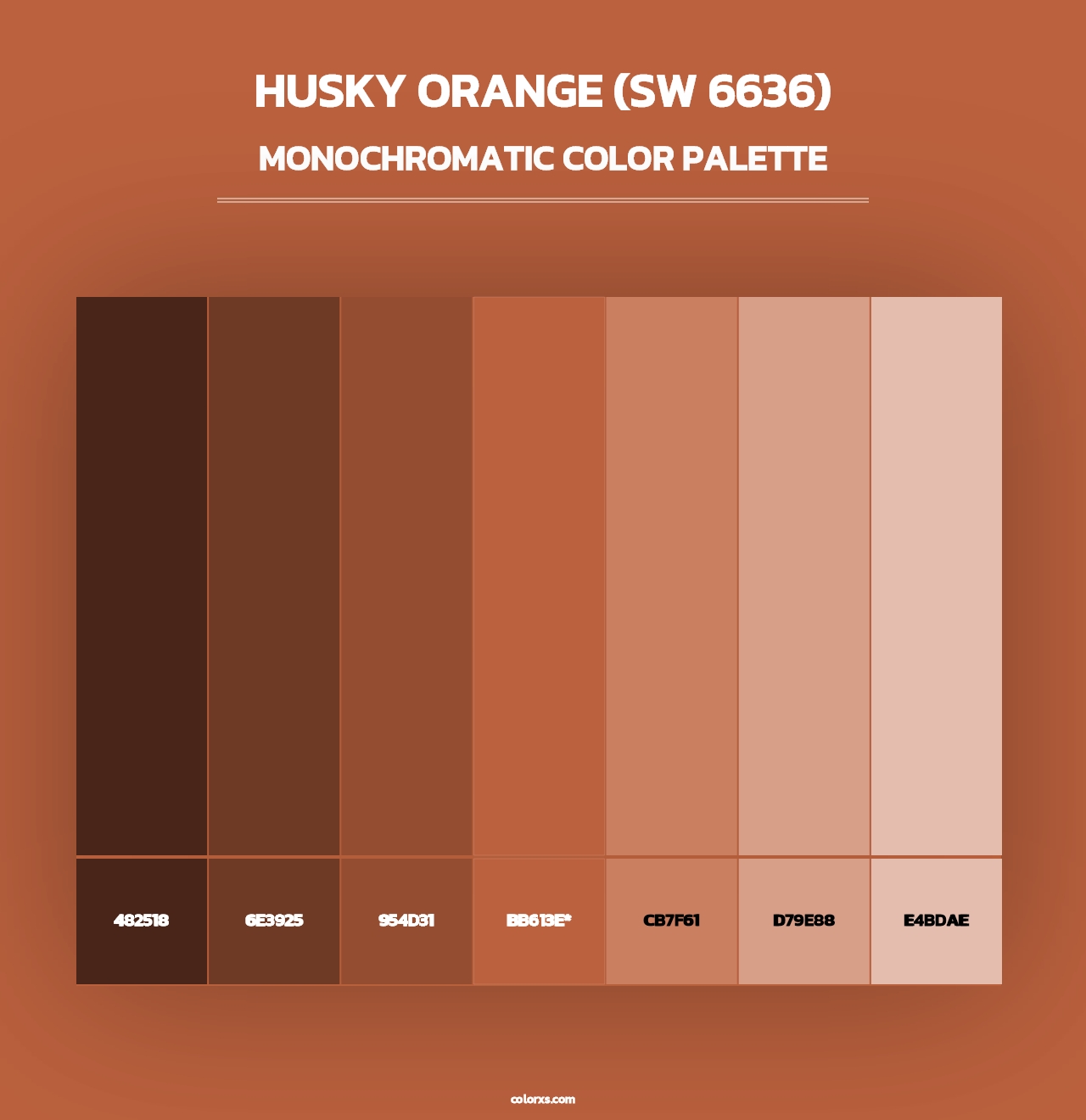 Husky Orange (SW 6636) - Monochromatic Color Palette