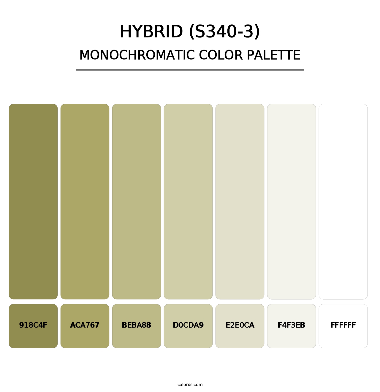 Hybrid (S340-3) - Monochromatic Color Palette
