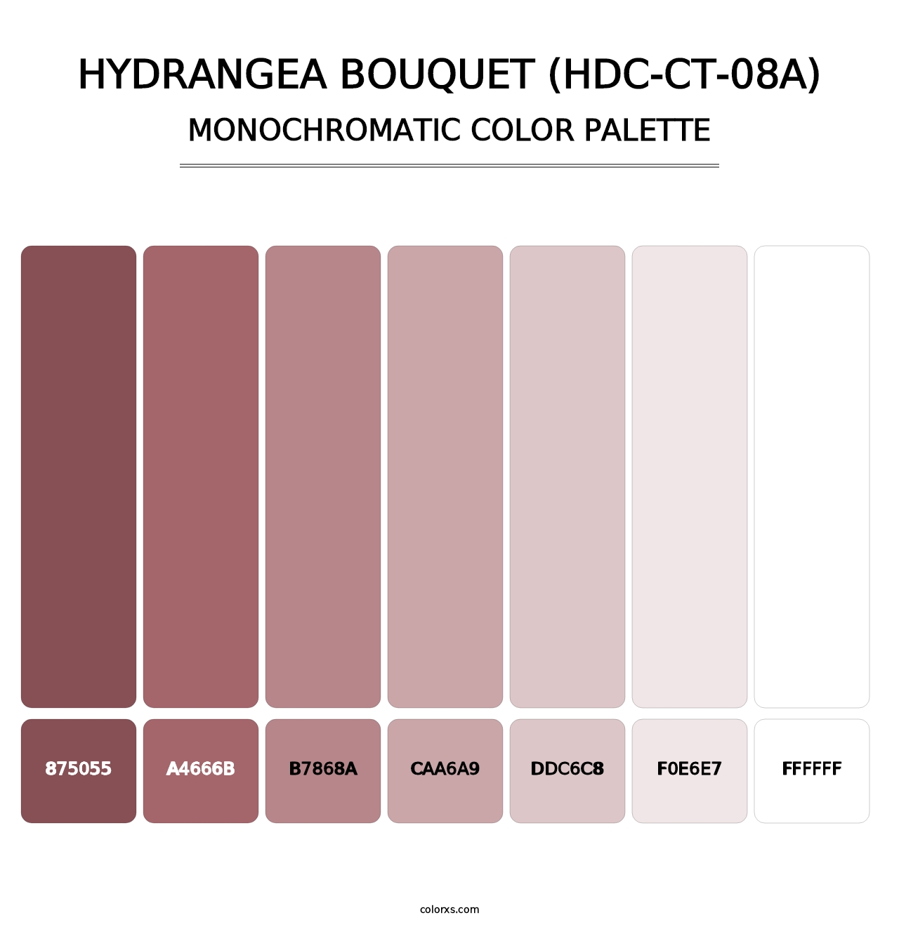 Hydrangea Bouquet (HDC-CT-08A) - Monochromatic Color Palette