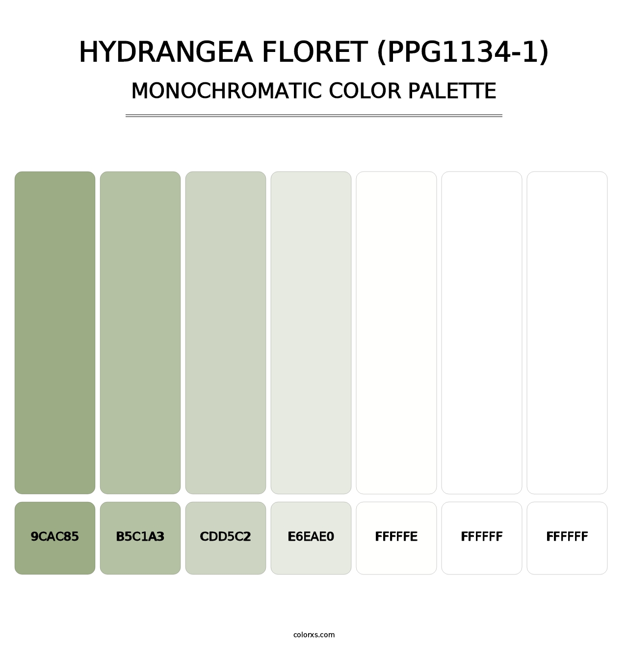 Hydrangea Floret (PPG1134-1) - Monochromatic Color Palette
