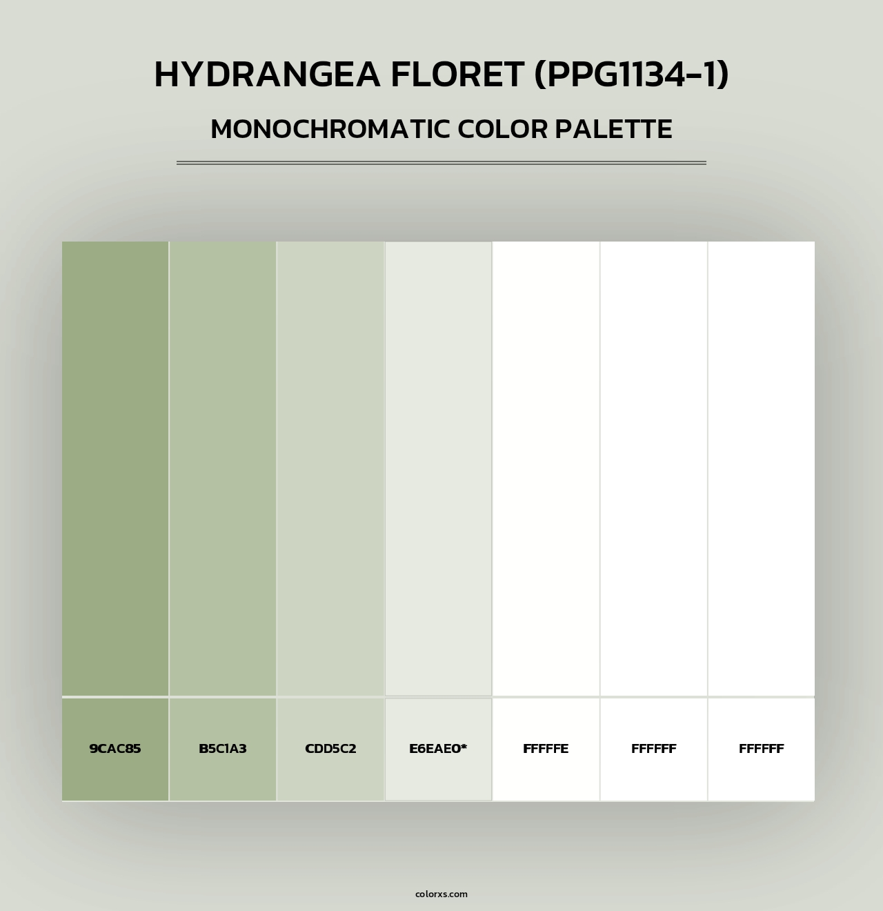 Hydrangea Floret (PPG1134-1) - Monochromatic Color Palette