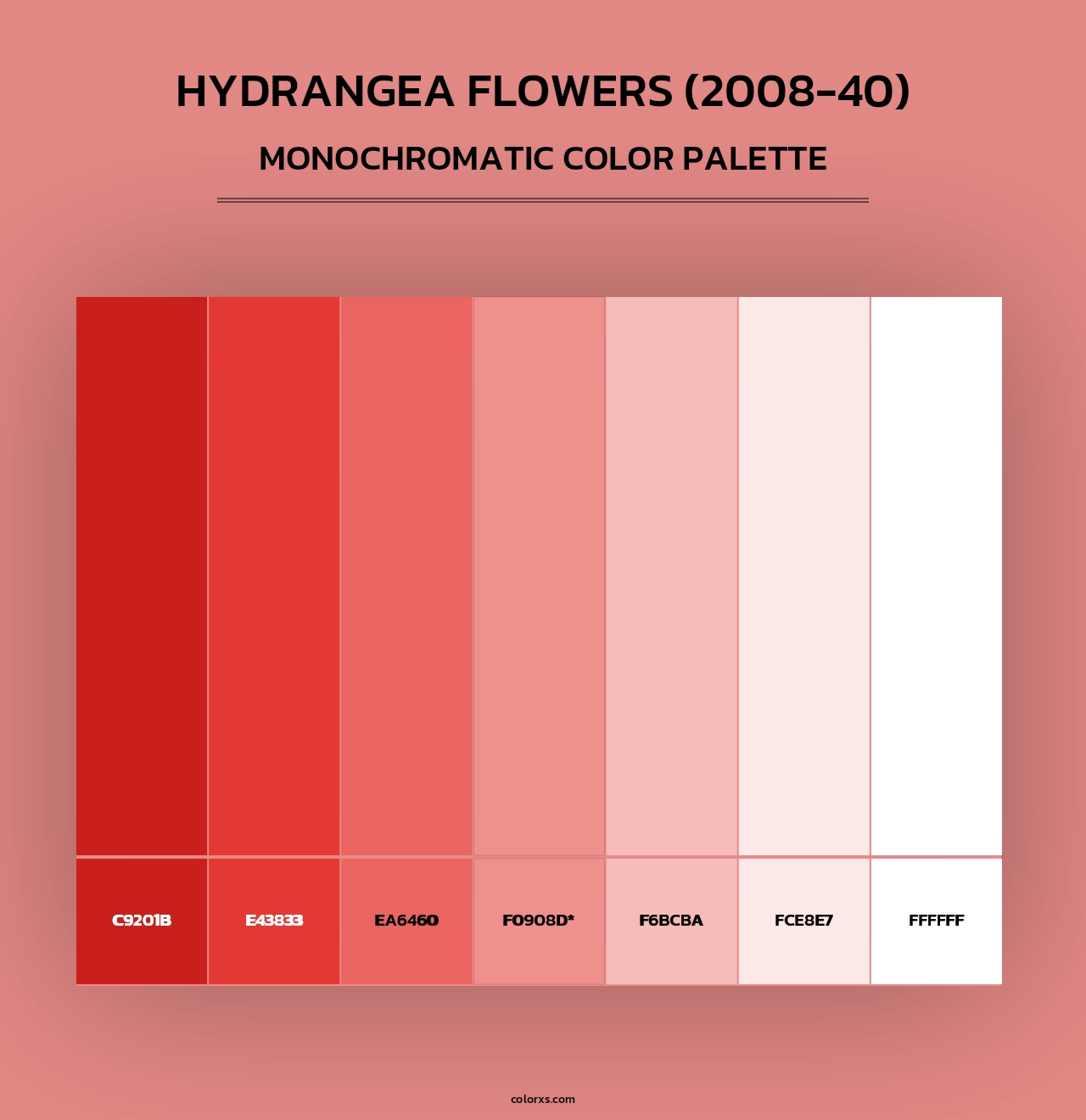Hydrangea Flowers (2008-40) - Monochromatic Color Palette