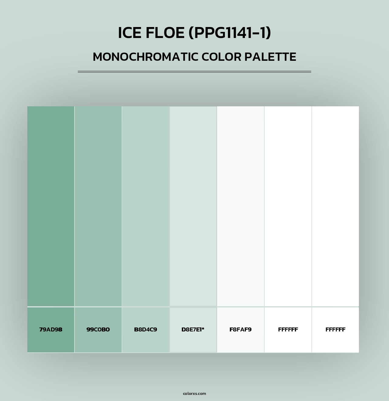 Ice Floe (PPG1141-1) - Monochromatic Color Palette