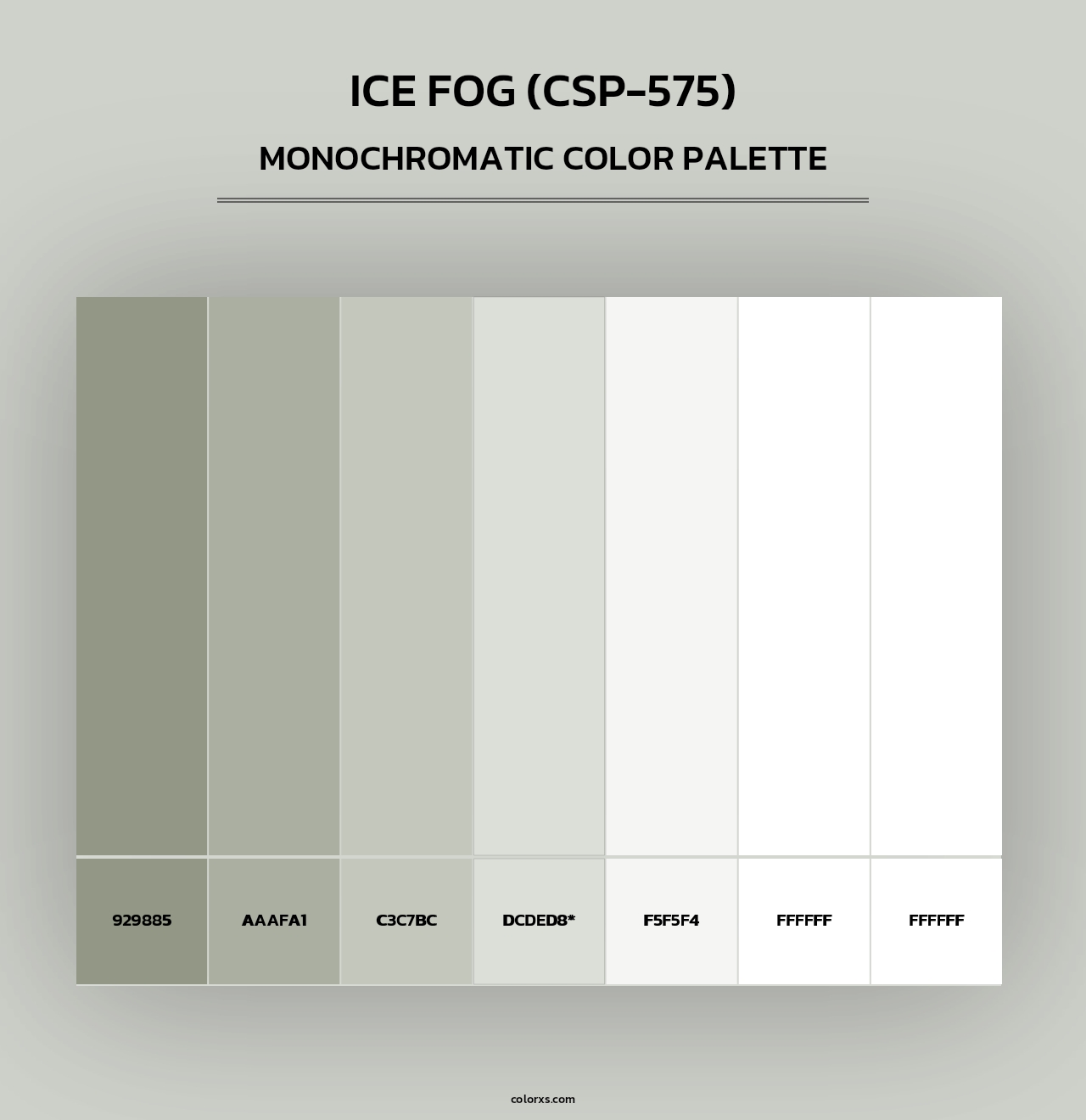 Ice Fog (CSP-575) - Monochromatic Color Palette