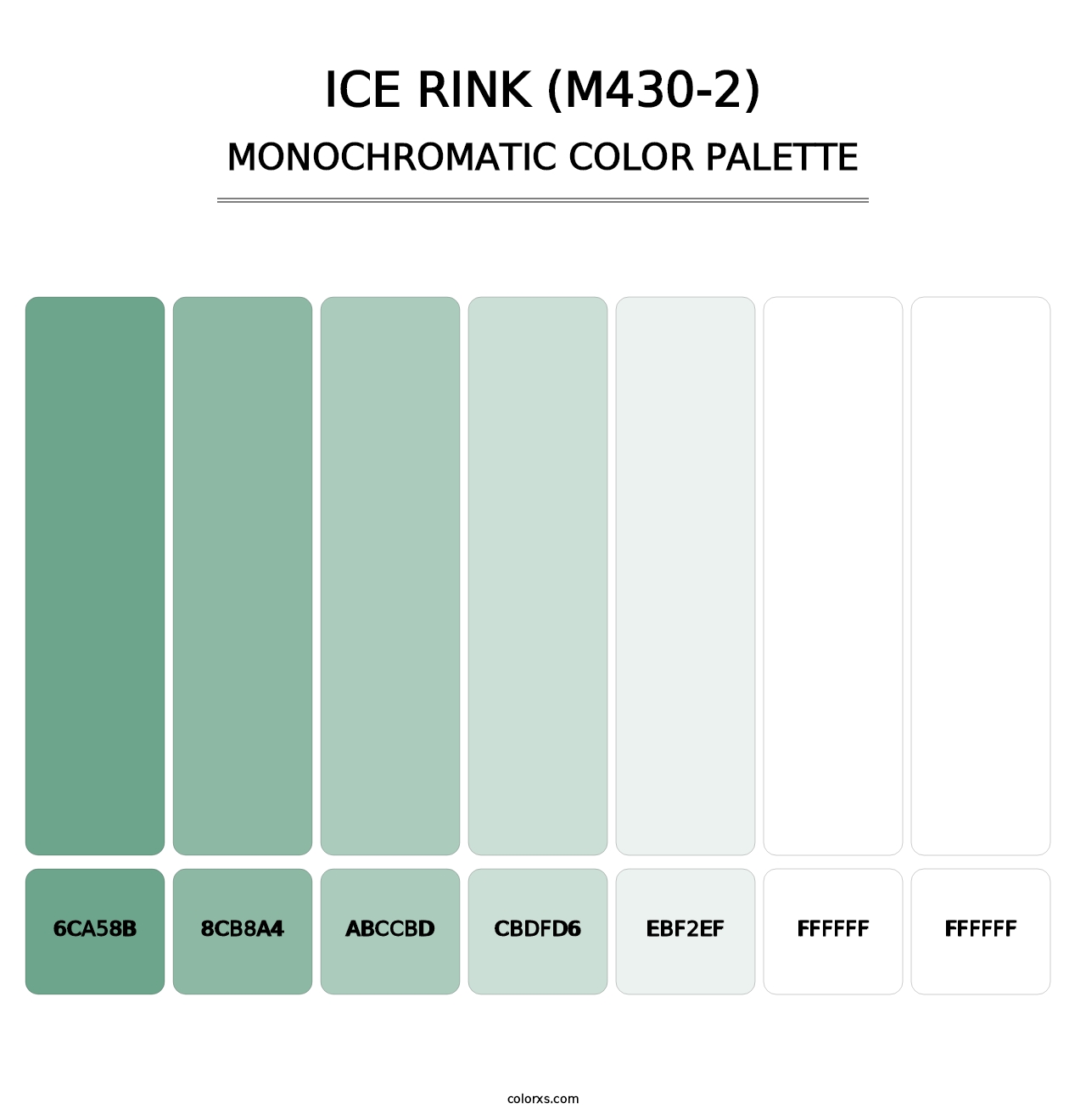 Ice Rink (M430-2) - Monochromatic Color Palette