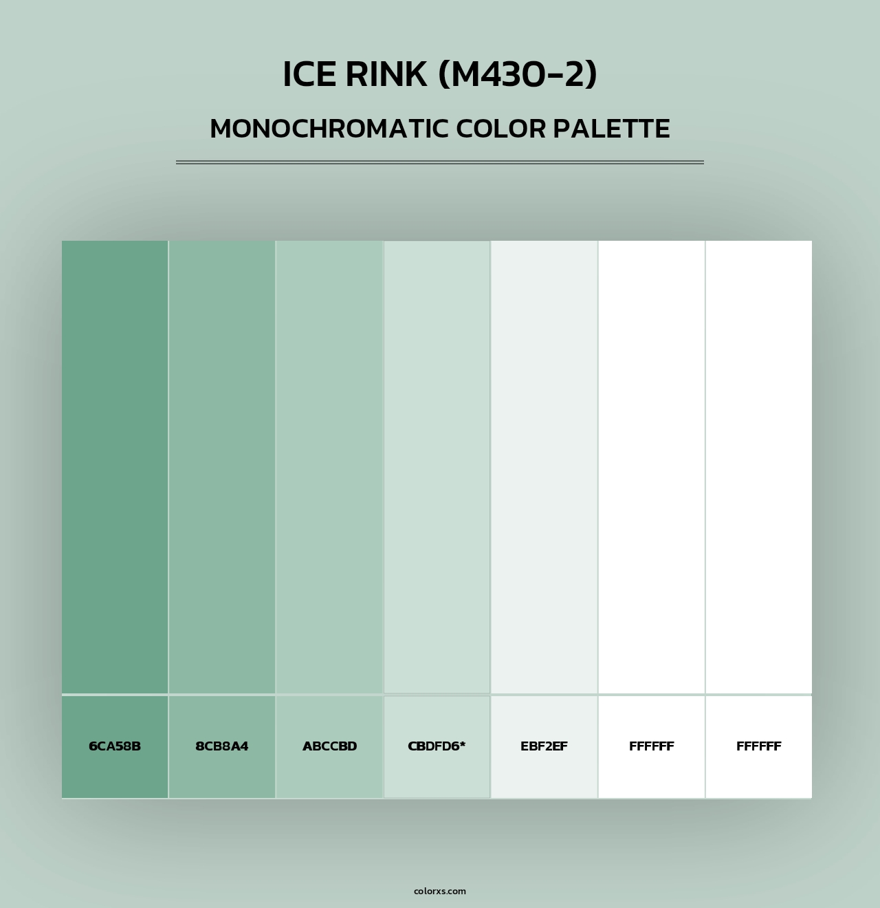Ice Rink (M430-2) - Monochromatic Color Palette