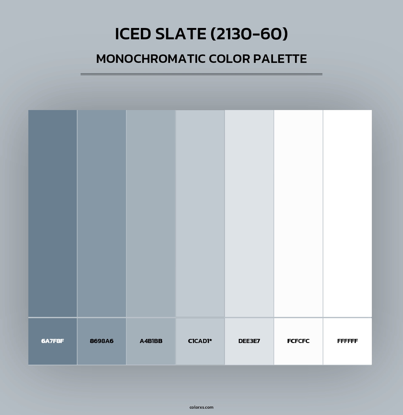 Iced Slate (2130-60) - Monochromatic Color Palette