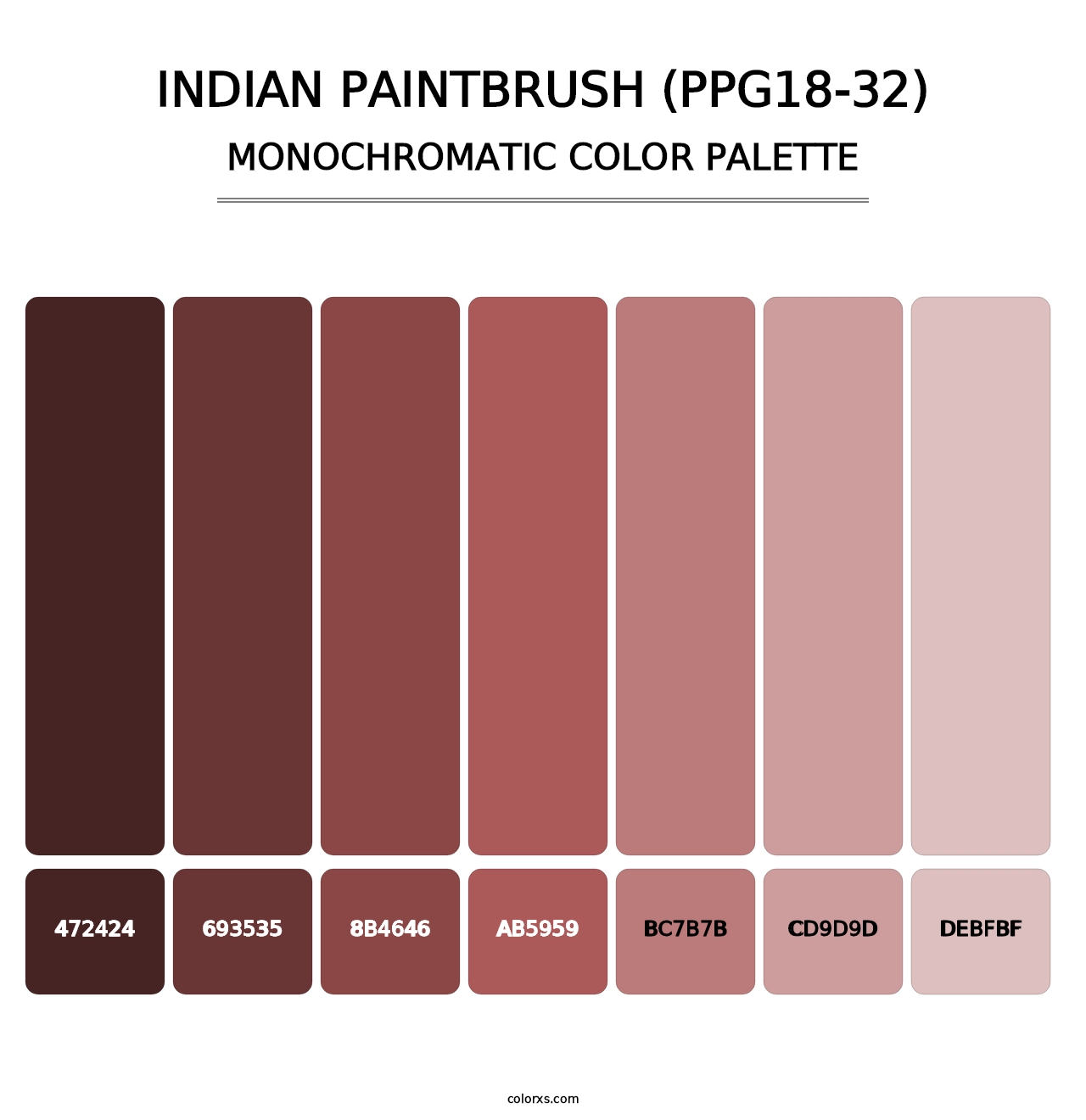 Indian Paintbrush (PPG18-32) - Monochromatic Color Palette