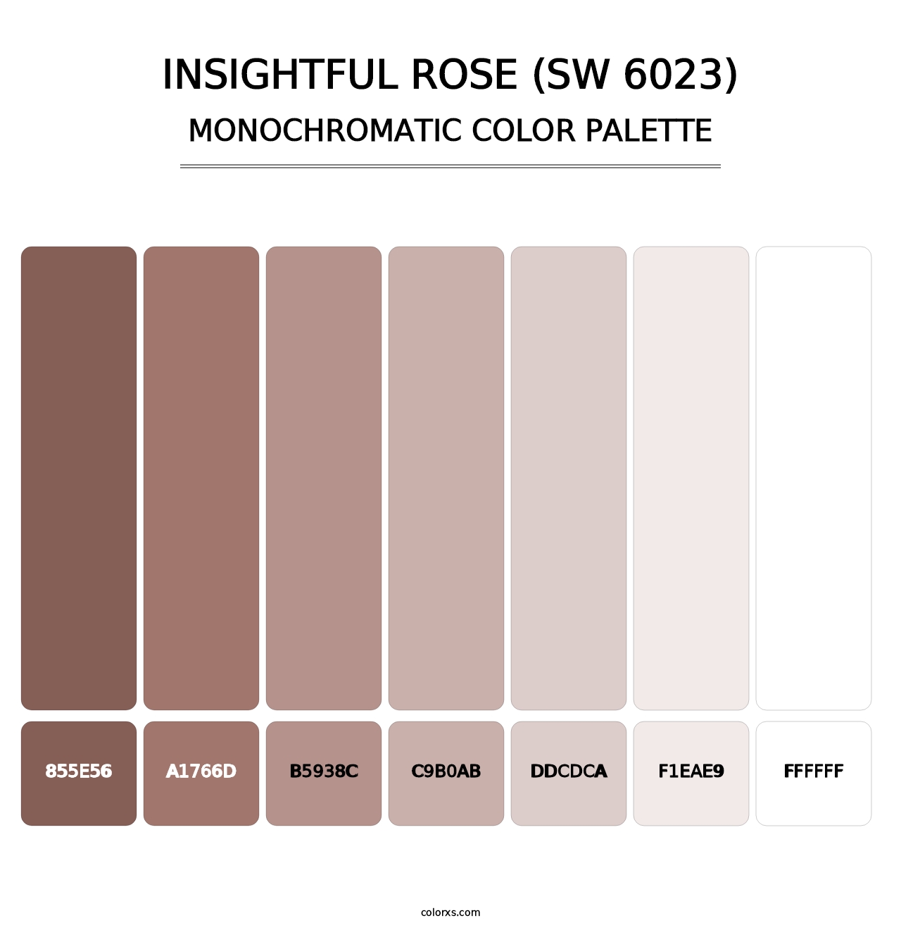 Insightful Rose (SW 6023) - Monochromatic Color Palette