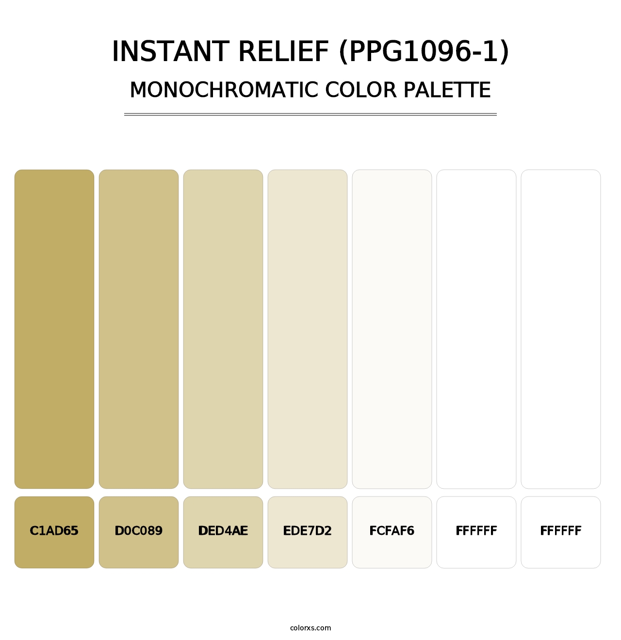 Instant Relief (PPG1096-1) - Monochromatic Color Palette