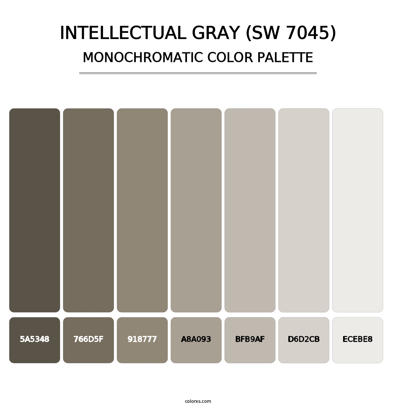Intellectual Gray (SW 7045) - Monochromatic Color Palette