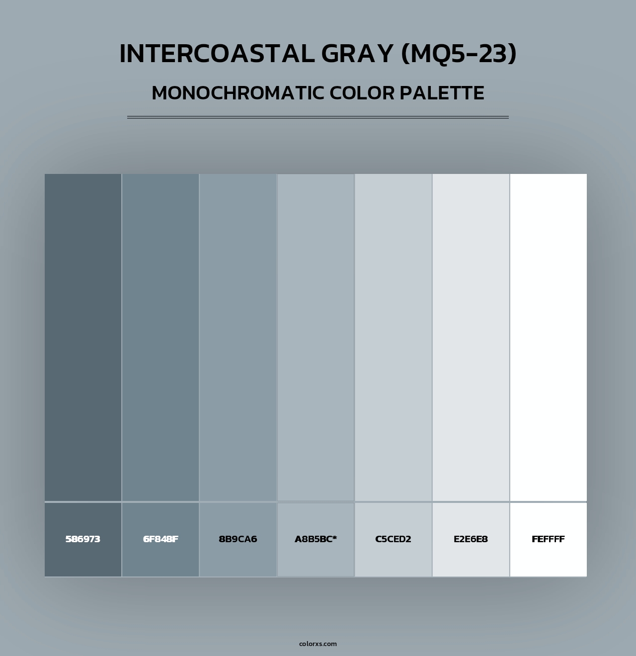 Intercoastal Gray (MQ5-23) - Monochromatic Color Palette