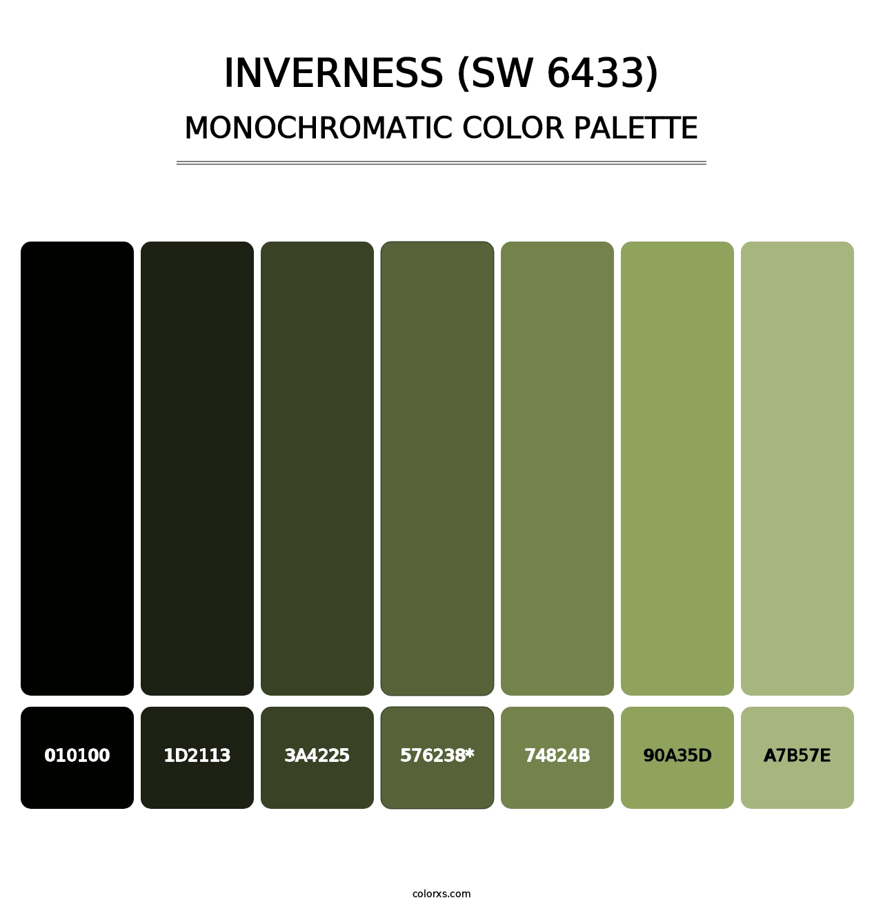 Inverness (SW 6433) - Monochromatic Color Palette