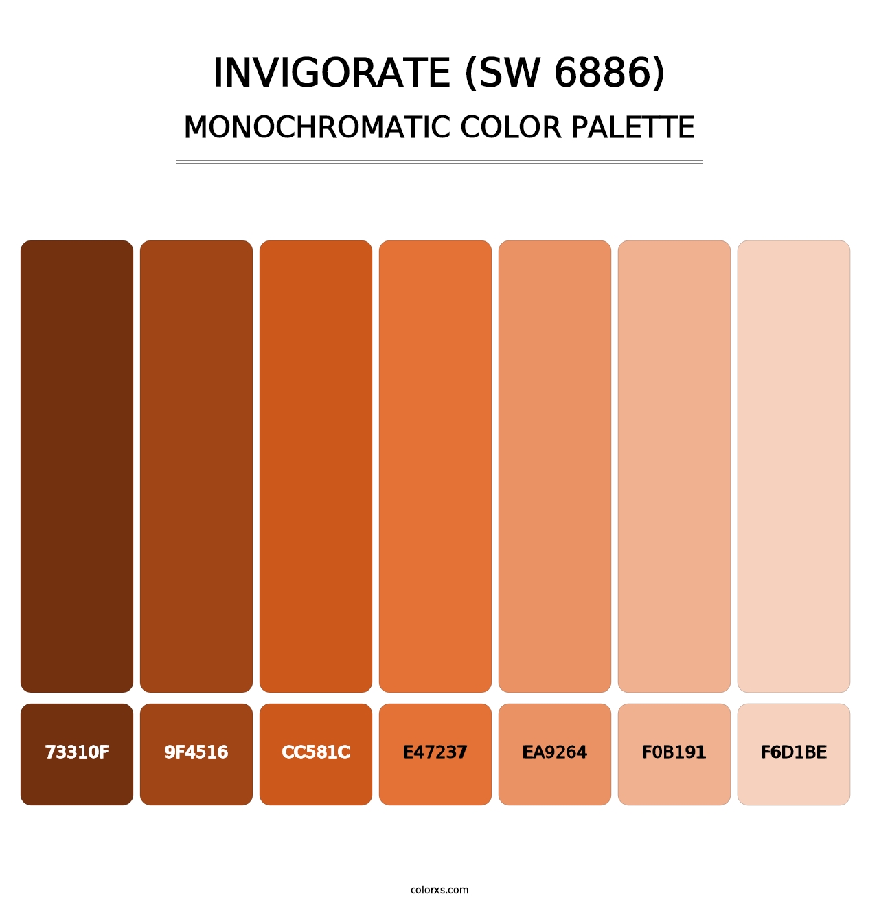 Invigorate (SW 6886) - Monochromatic Color Palette