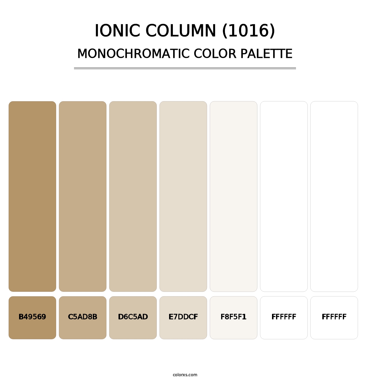 Ionic Column (1016) - Monochromatic Color Palette