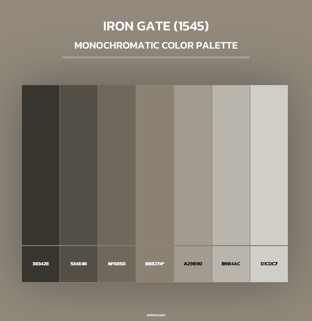 Iron Gate (1545) - Monochromatic Color Palette