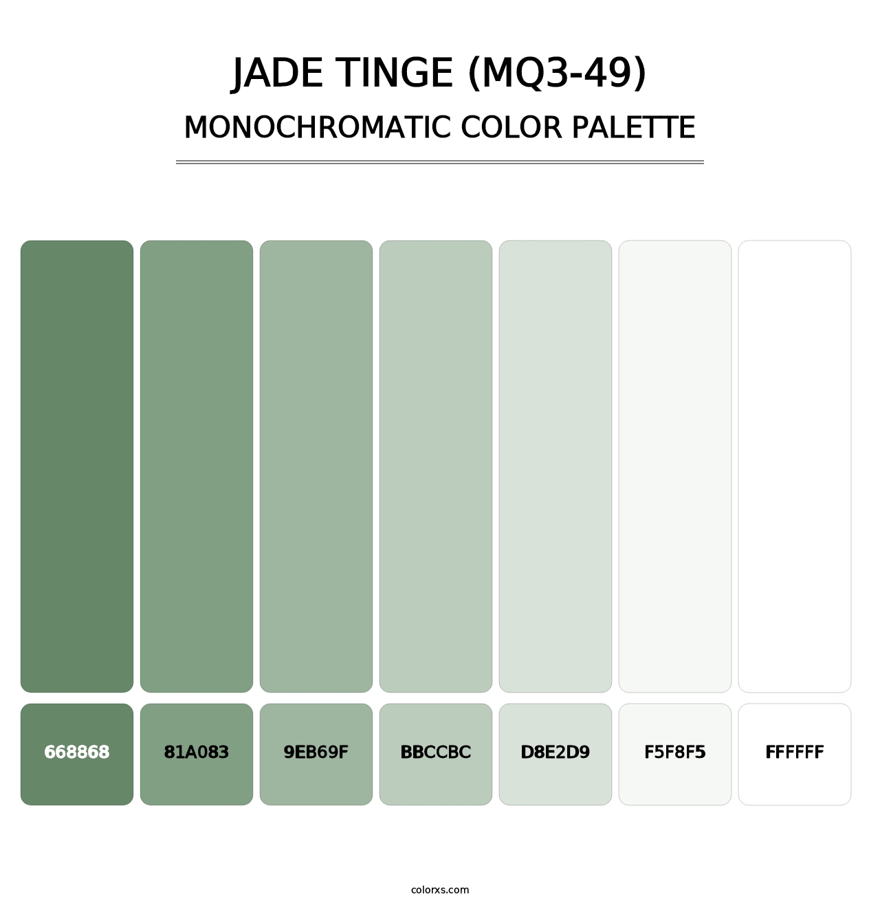 Jade Tinge (MQ3-49) - Monochromatic Color Palette