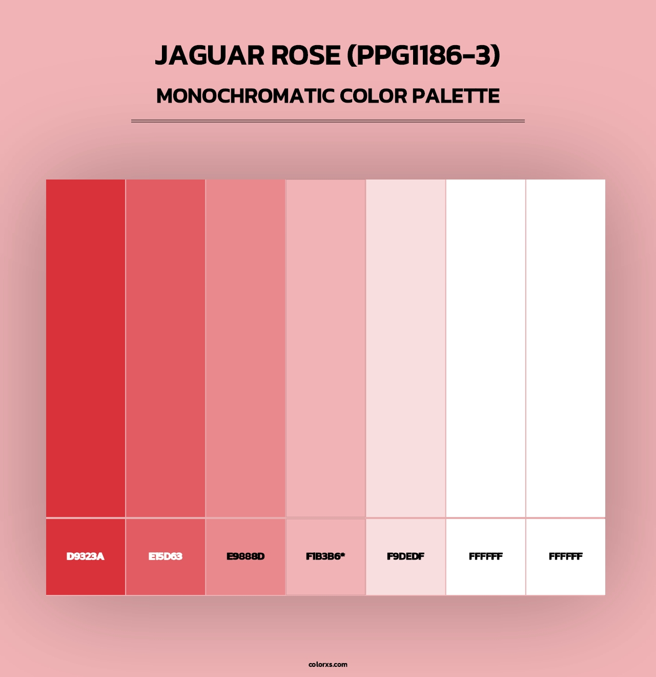 Jaguar Rose (PPG1186-3) - Monochromatic Color Palette