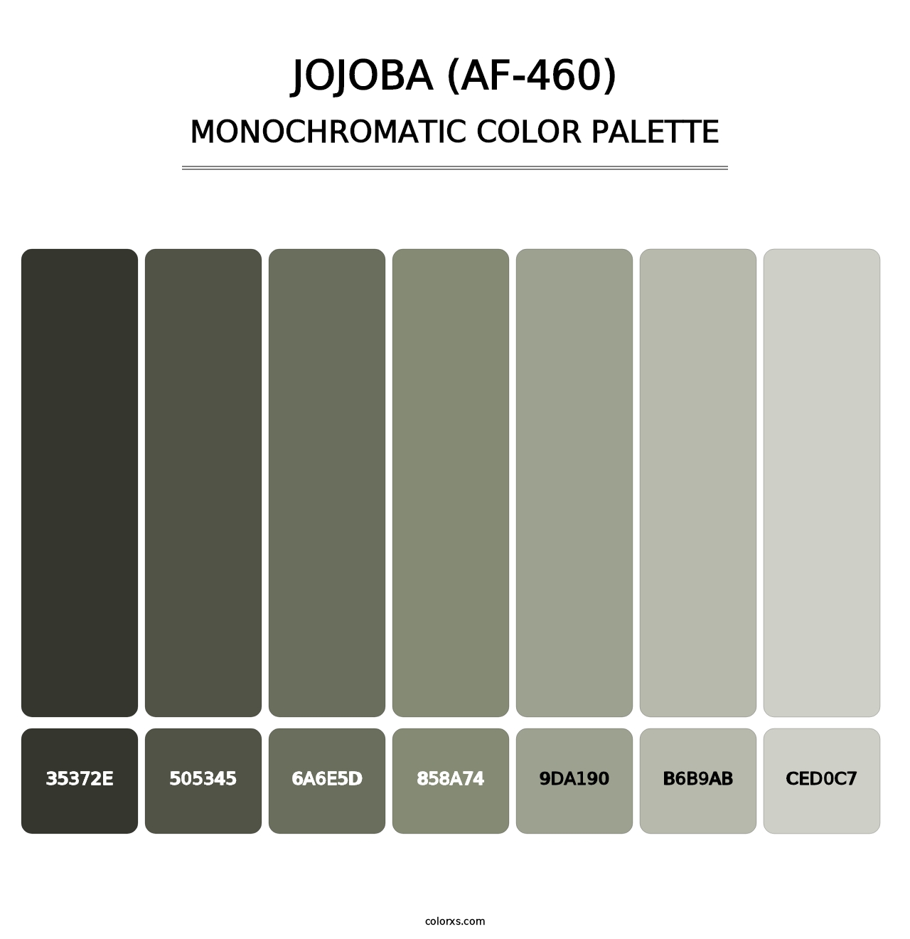 Jojoba (AF-460) - Monochromatic Color Palette