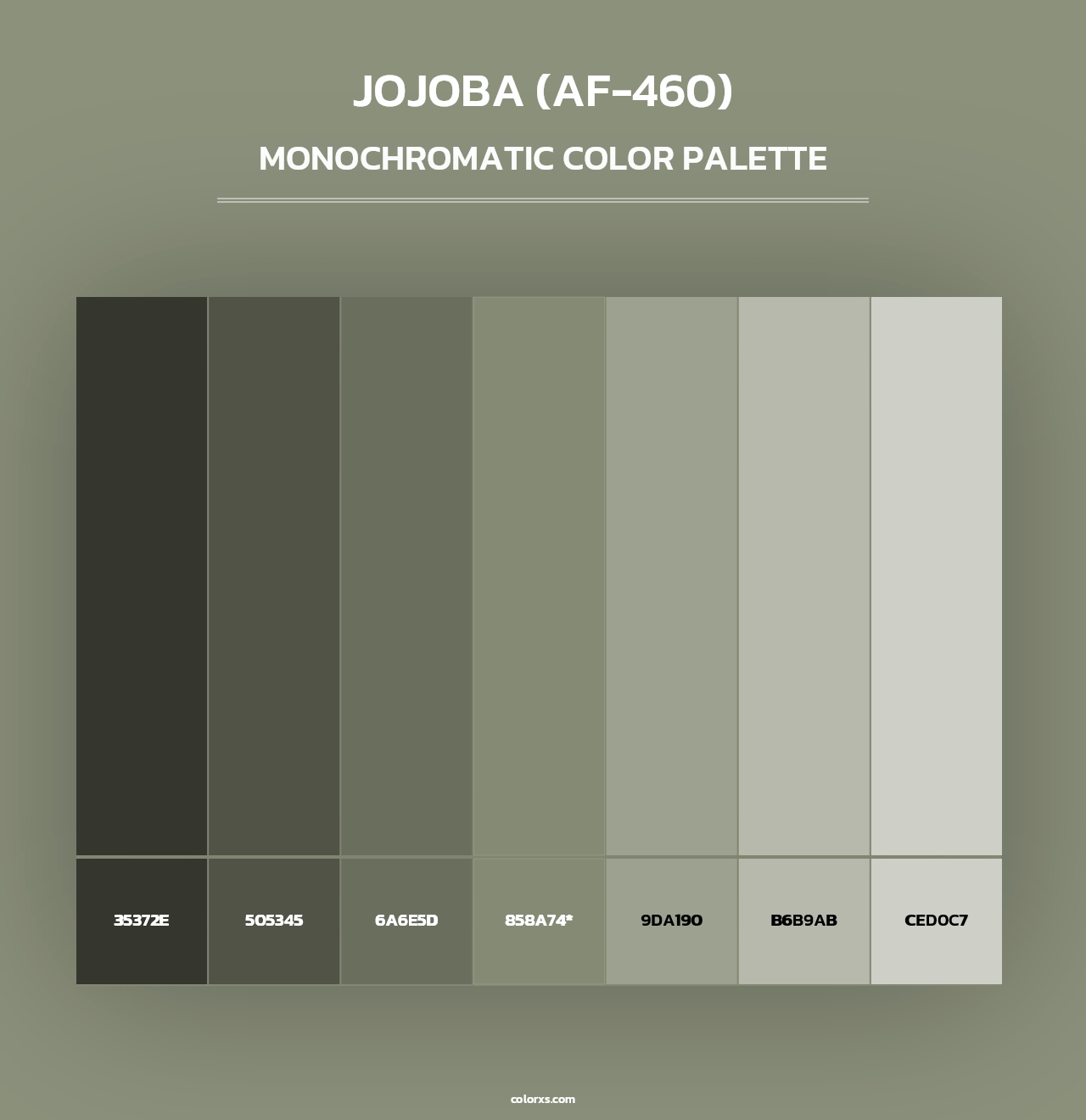Jojoba (AF-460) - Monochromatic Color Palette