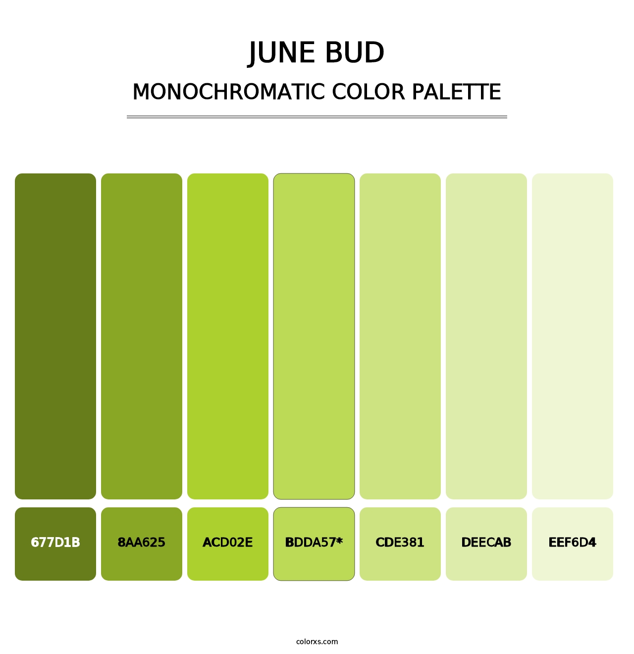 June Bud - Monochromatic Color Palette