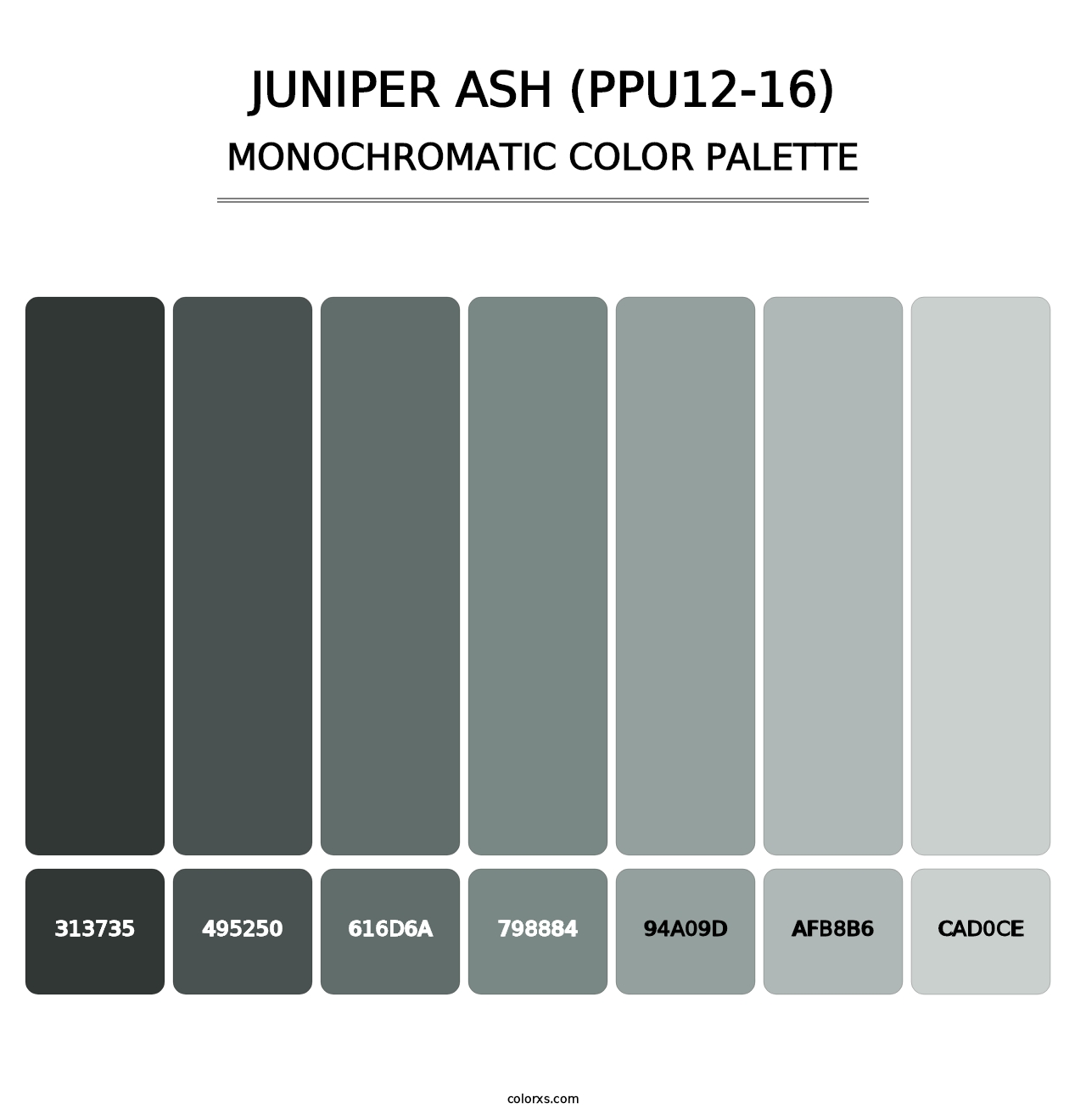 Juniper Ash (PPU12-16) - Monochromatic Color Palette