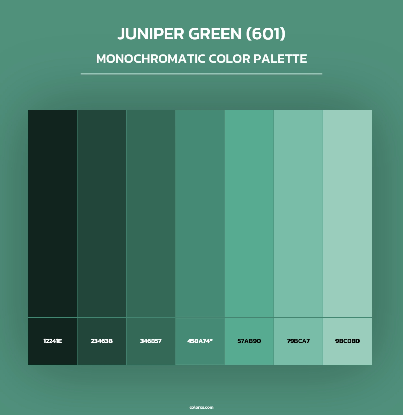 Juniper Green (601) - Monochromatic Color Palette