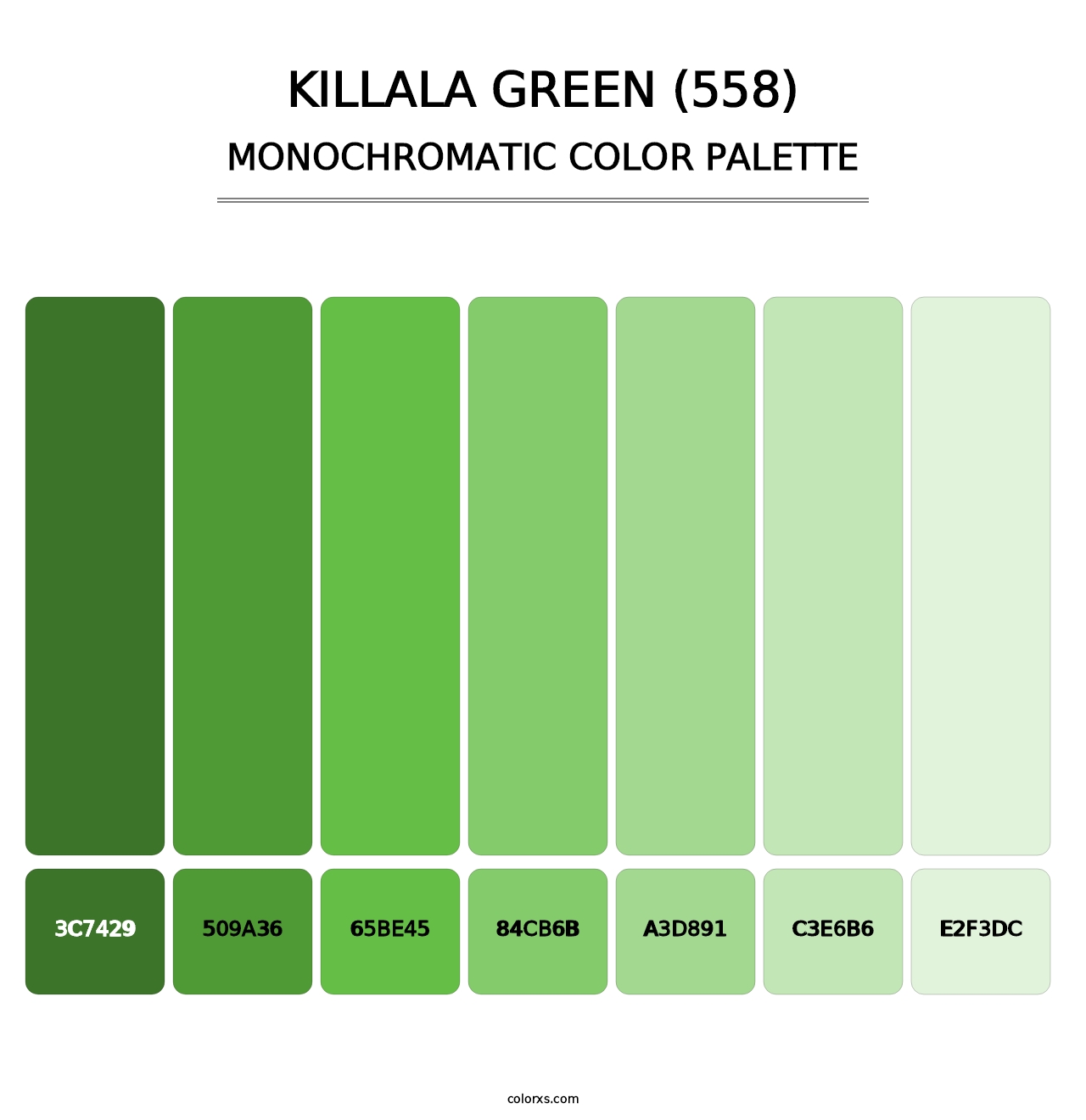 Killala Green (558) - Monochromatic Color Palette