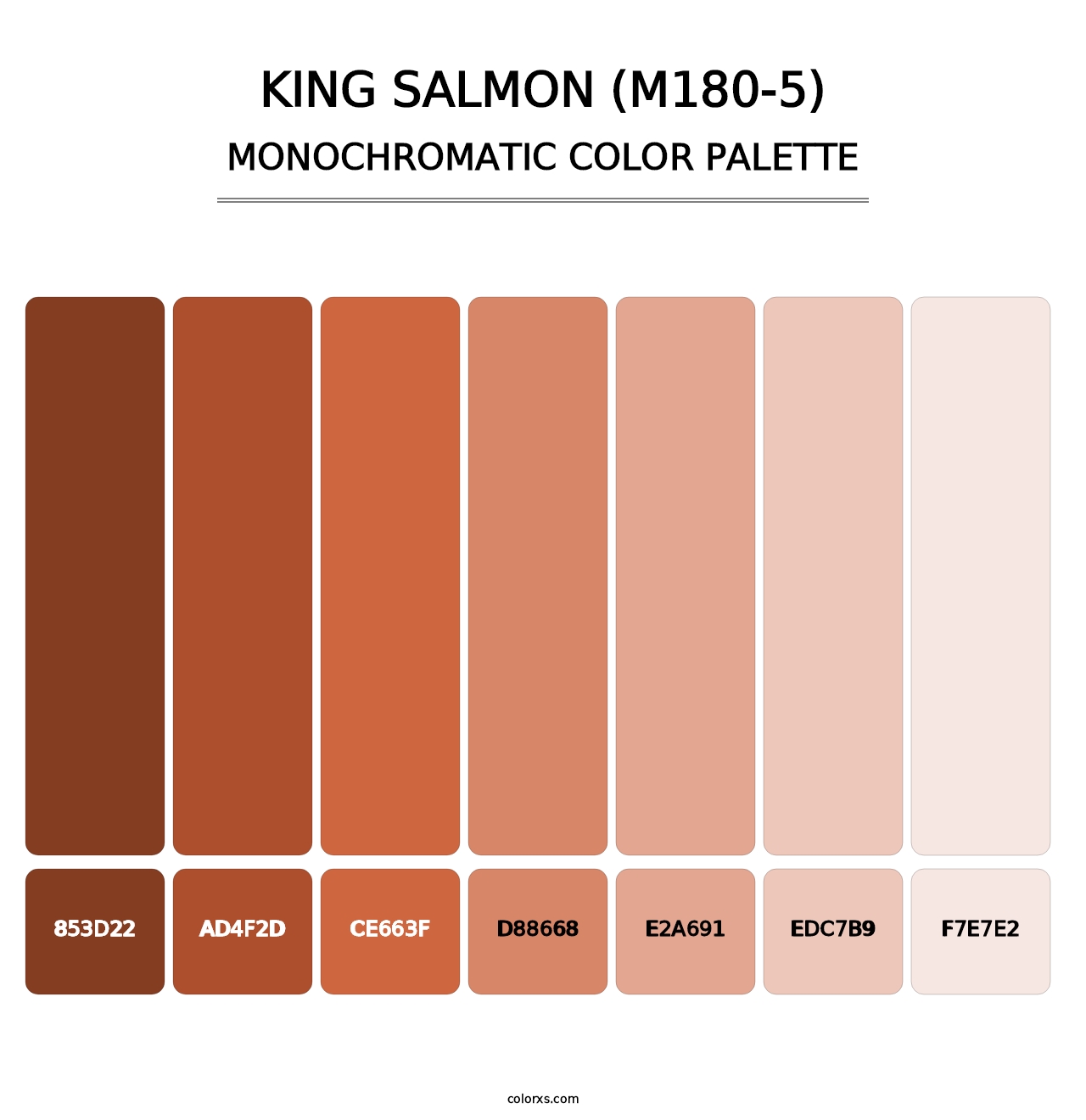 King Salmon (M180-5) - Monochromatic Color Palette