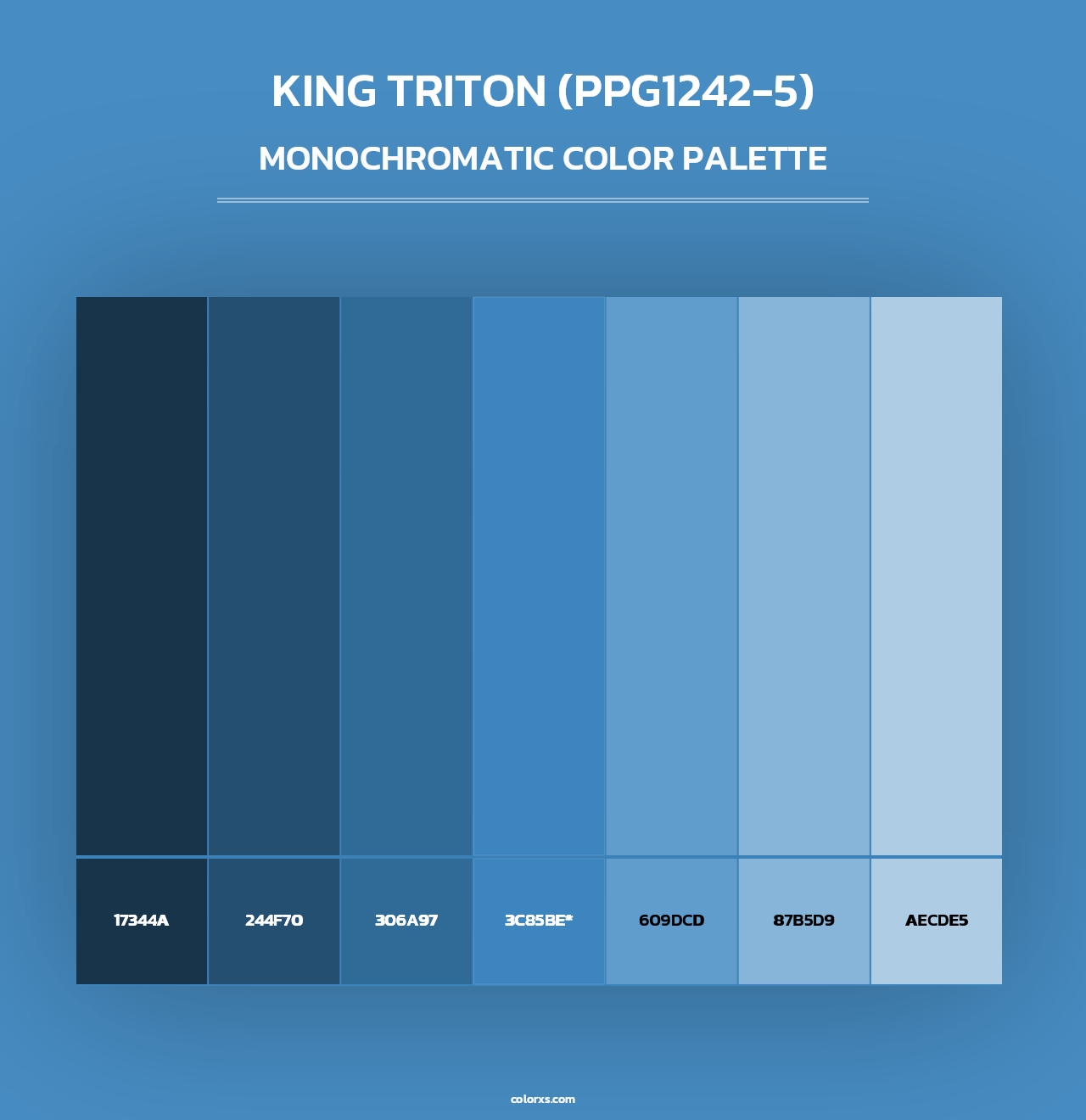 King Triton (PPG1242-5) - Monochromatic Color Palette