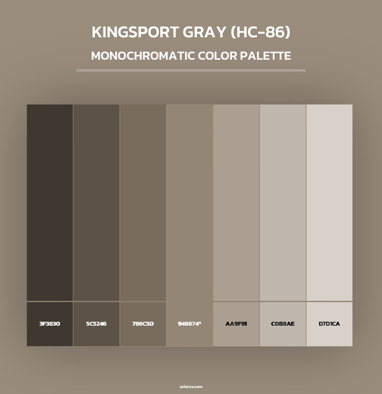 Kingsport Gray (HC-86) - Monochromatic Color Palette