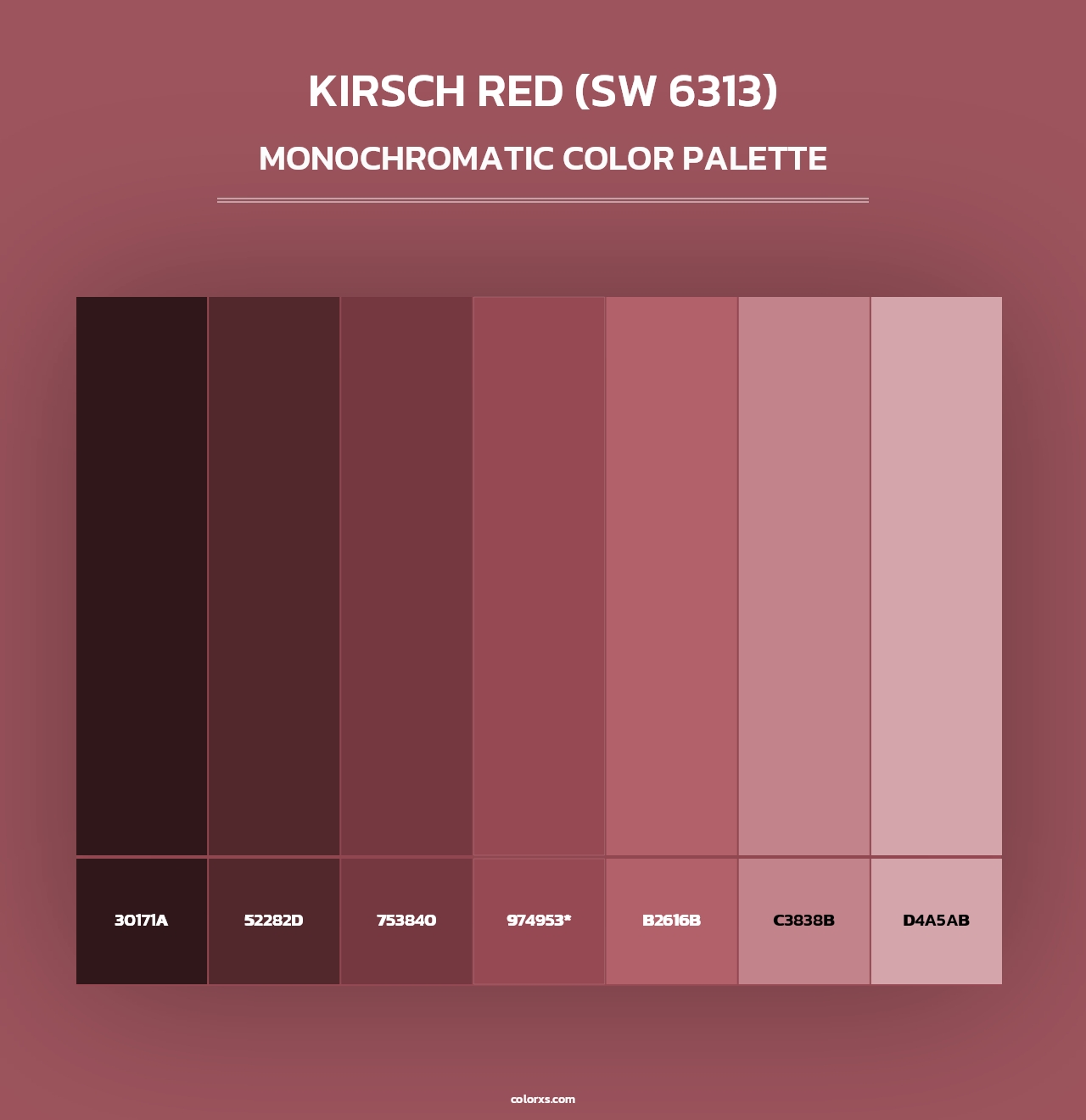 Kirsch Red (SW 6313) - Monochromatic Color Palette